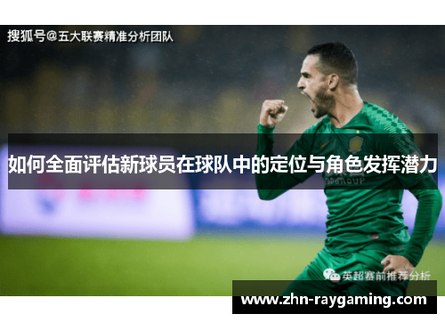 如何全面评估新球员在球队中的定位与角色发挥潜力