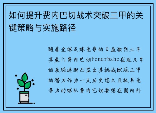 如何提升费内巴切战术突破三甲的关键策略与实施路径