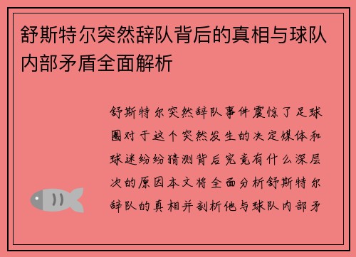 舒斯特尔突然辞队背后的真相与球队内部矛盾全面解析 舒斯特尔突然辞队背后的真相与球队内部矛盾全面解析