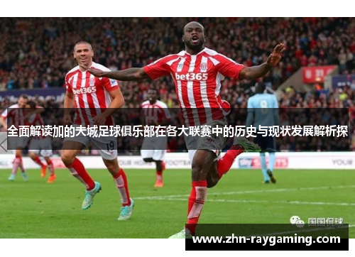 全面解读加的夫城足球俱乐部在各大联赛中的历史与现状发展解析探